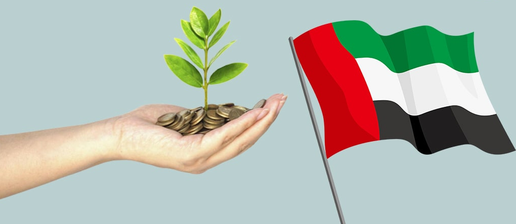 مساعدات مالية في الامارات للوافدين